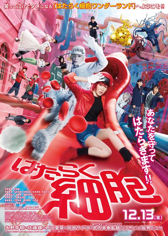 [工作细胞.真人版][WEB-MKV/7.44GB][无字片源][1080P][流媒体]