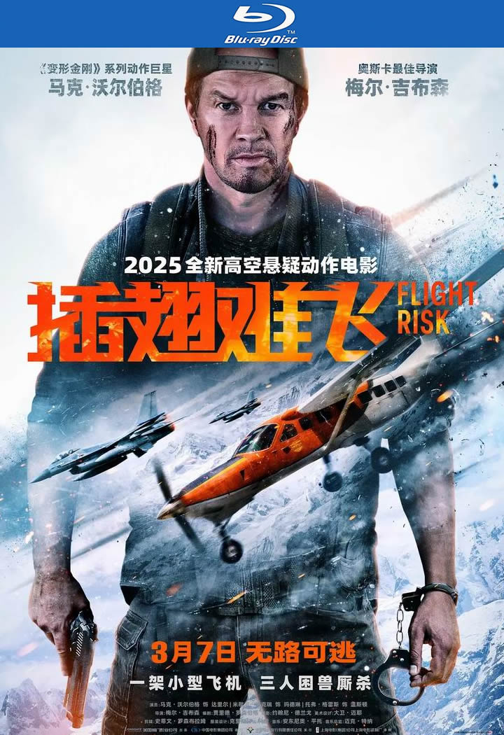 [BT下载][插翅难飞/失速机劫][BD-MKV/6G][英语中字][1080p][2025最新]