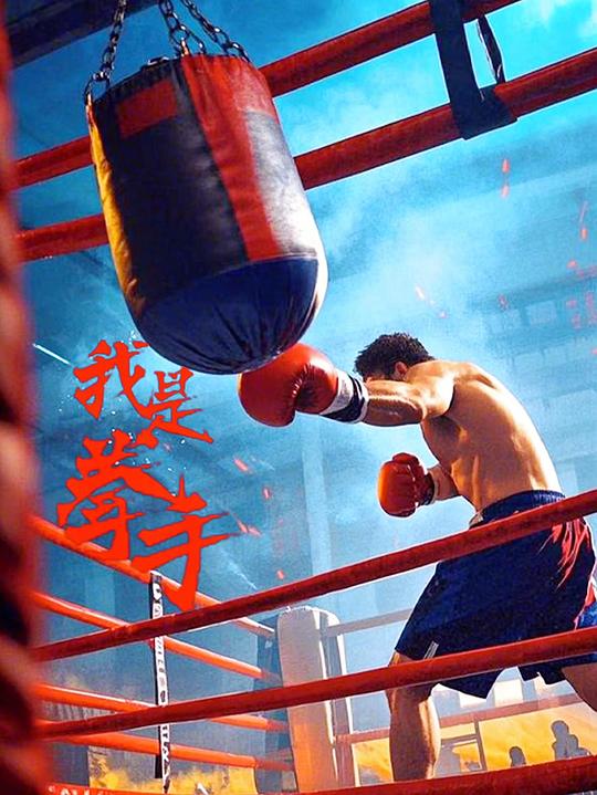 [BT下载][我是拳手][WEB-MP4/1.66GB][国语配音/中文字幕][1080P][流媒体]