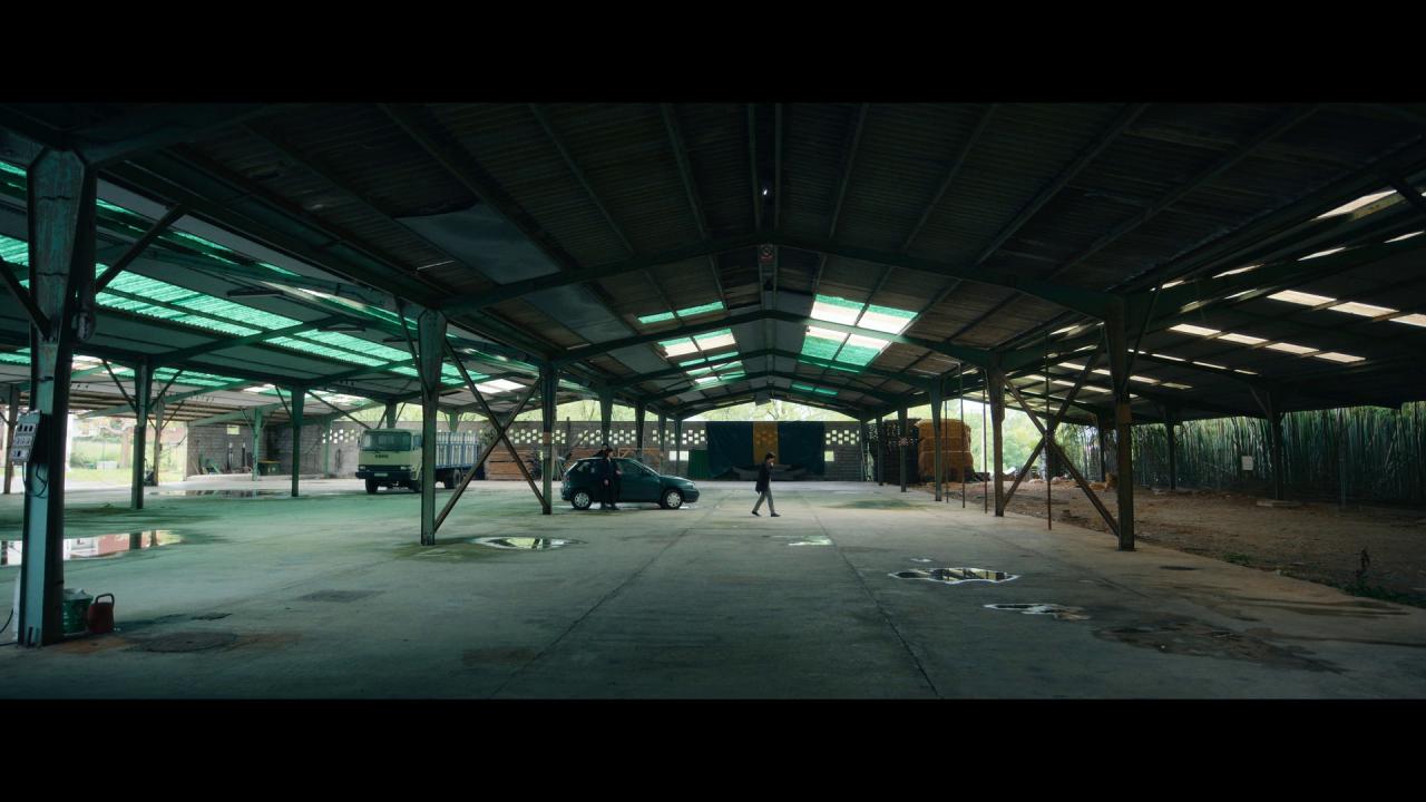 [她行走于黑暗中][WEB-MKV/4.27GB][简繁英字幕][1080P][流媒体]