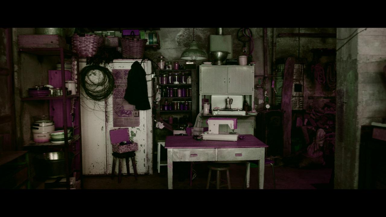 [她行走于黑暗中][WEB-MKV/13.64GB][简繁英字幕][4K-2160P][杜比视界版本][H265编码][流媒体]