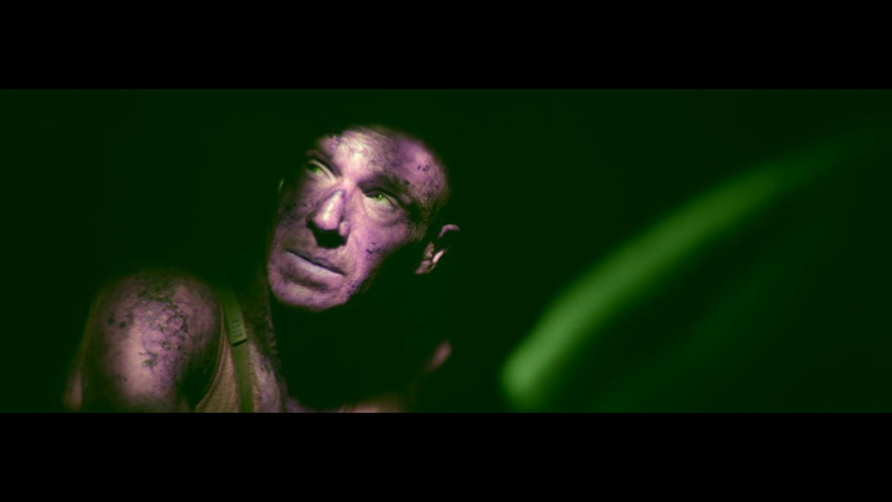 [惊变28年][WEB-MKV/15.67GB][简繁英字幕][4K-2160P][杜比视界版本][H265编码][流媒体]