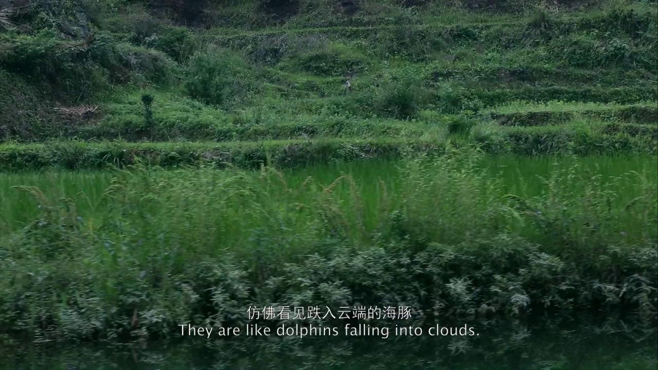 [路边野餐][WEB-MP4/1.28GB][国语配音/中文字幕][1080P][流媒体]