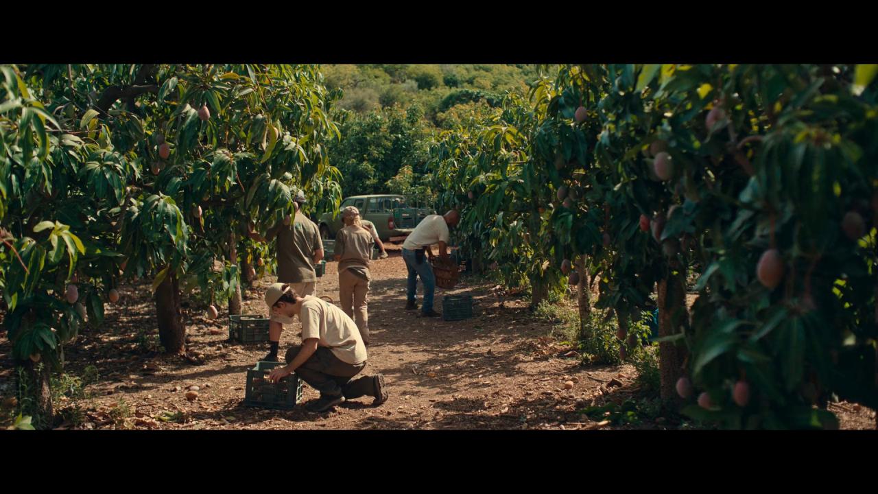 [芒果缘][WEB-MKV/3.74GB][简繁英字幕][1080P][流媒体]