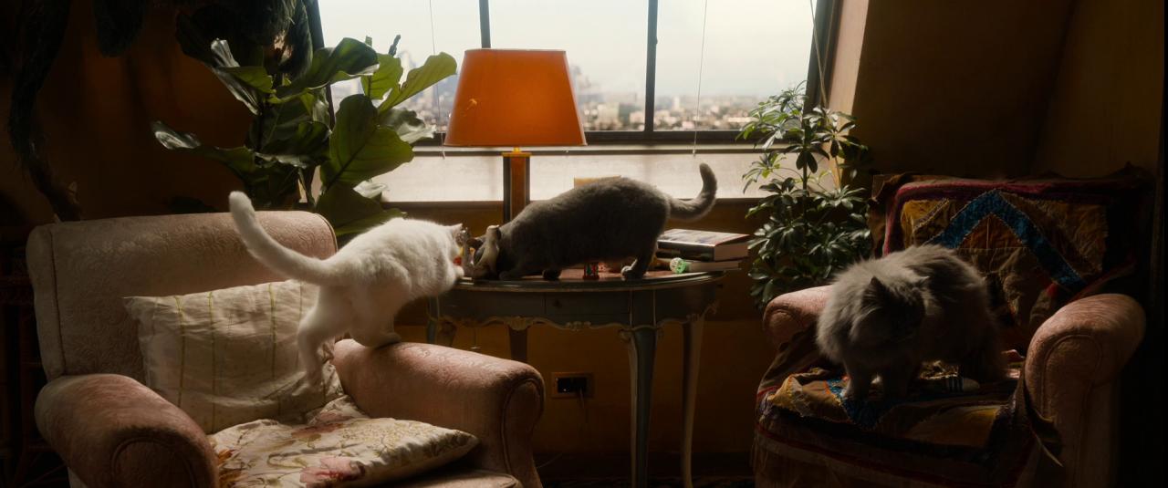 [家庭计划2][WEB-MKV/7.86GB][简繁英字幕][1080P][HDR版本][流媒体]