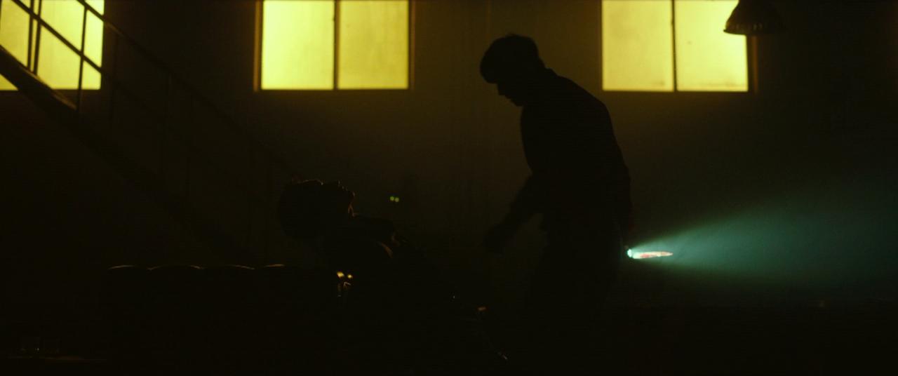 [保护者][BD-MKV/4.99GB][中文字幕][1080P][HDR版本][蓝光压制]