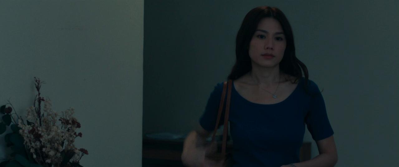 [私家侦探][BD-MKV/12.22GB][国语配音/中文字幕][1080P][HDR版本][蓝光压制]