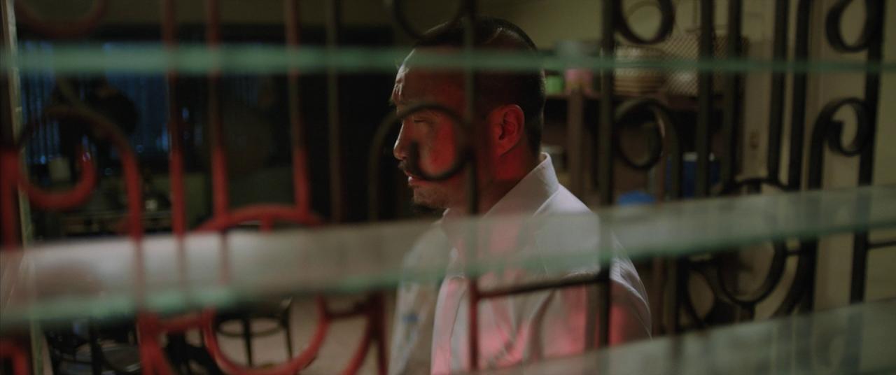 [阿龙][BD-MKV/12.48GB][国语音轨/简繁英字幕][1080P][HDR版本][蓝光压制]