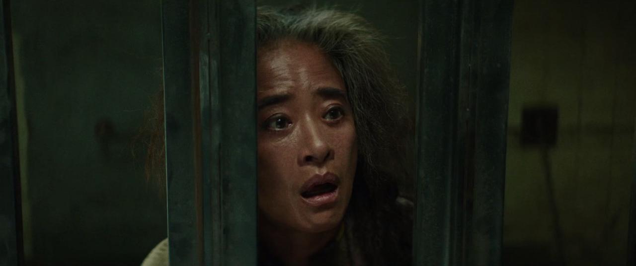 [大风杀][BD-MKV/9.09GB][简繁英字幕][1080P][HDR版本][H265编码][蓝光压制]