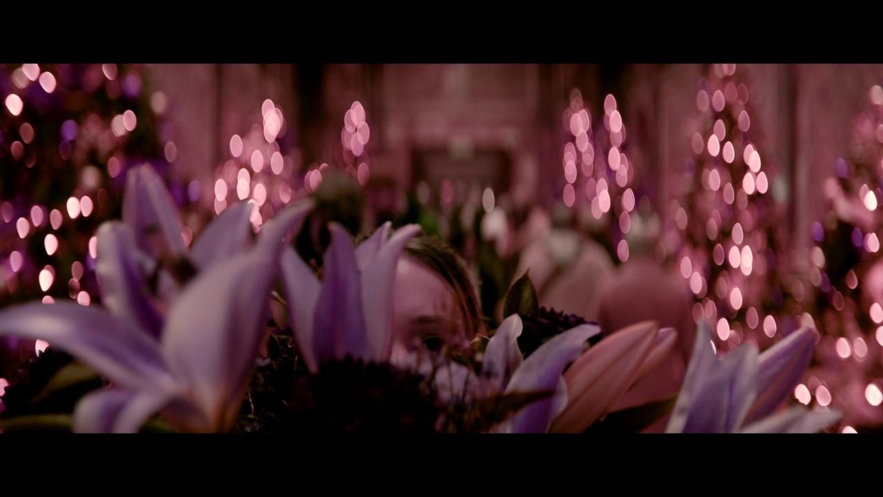 [偷心响叮当][WEB-MKV/12.36GB][简繁英字幕][4K-2160P][杜比视界版本][H265编码][流媒体]