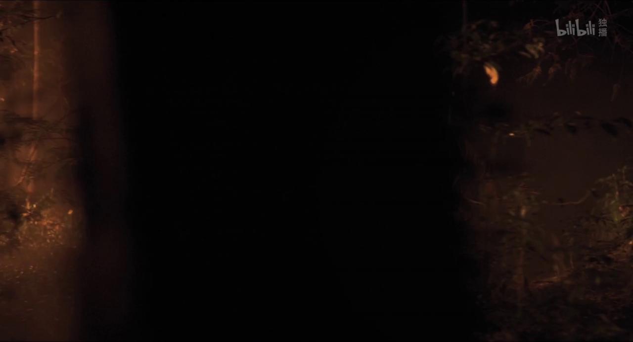 [我啊，走自己的路][WEB-MP4/5.46GB][中文字幕][1080P][HDR版本][流媒体]