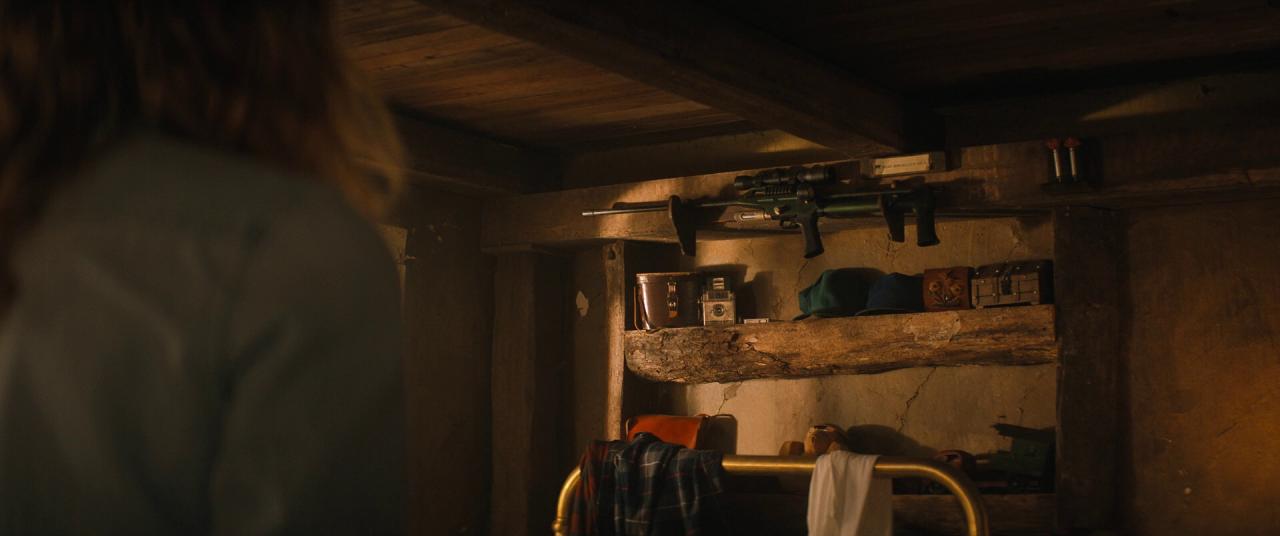 [小人物2][BD-MKV/8.73GB][简繁英字幕][1080P][HDR版本][蓝光压制]