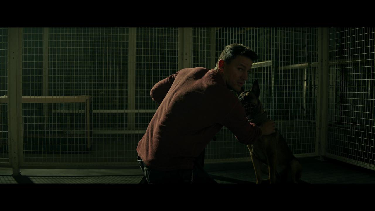 [忠犬][WEB-MKV/3.85GB][无字片源][1080P][HDR版本][流媒体]