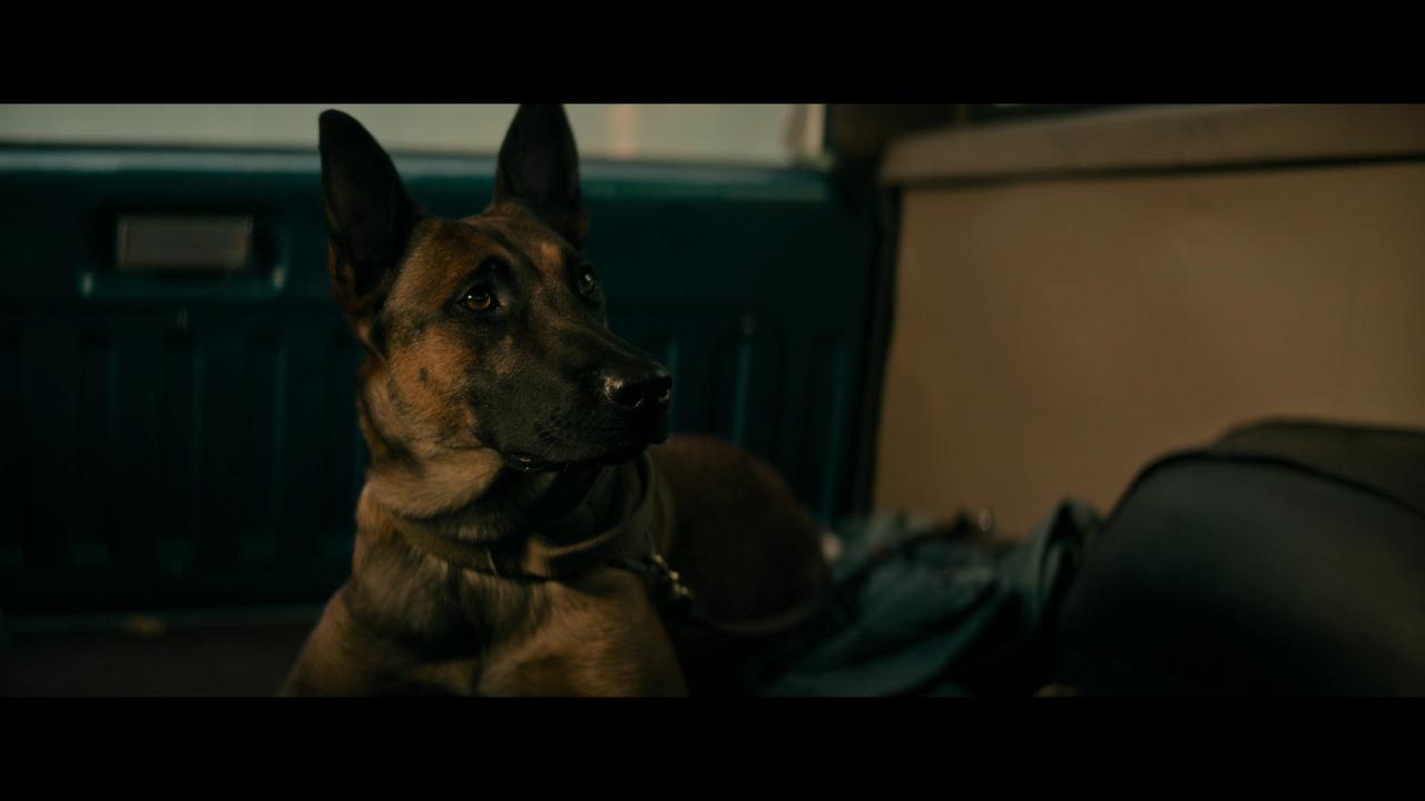 [忠犬][WEB-MKV/3.85GB][无字片源][1080P][HDR版本][流媒体]