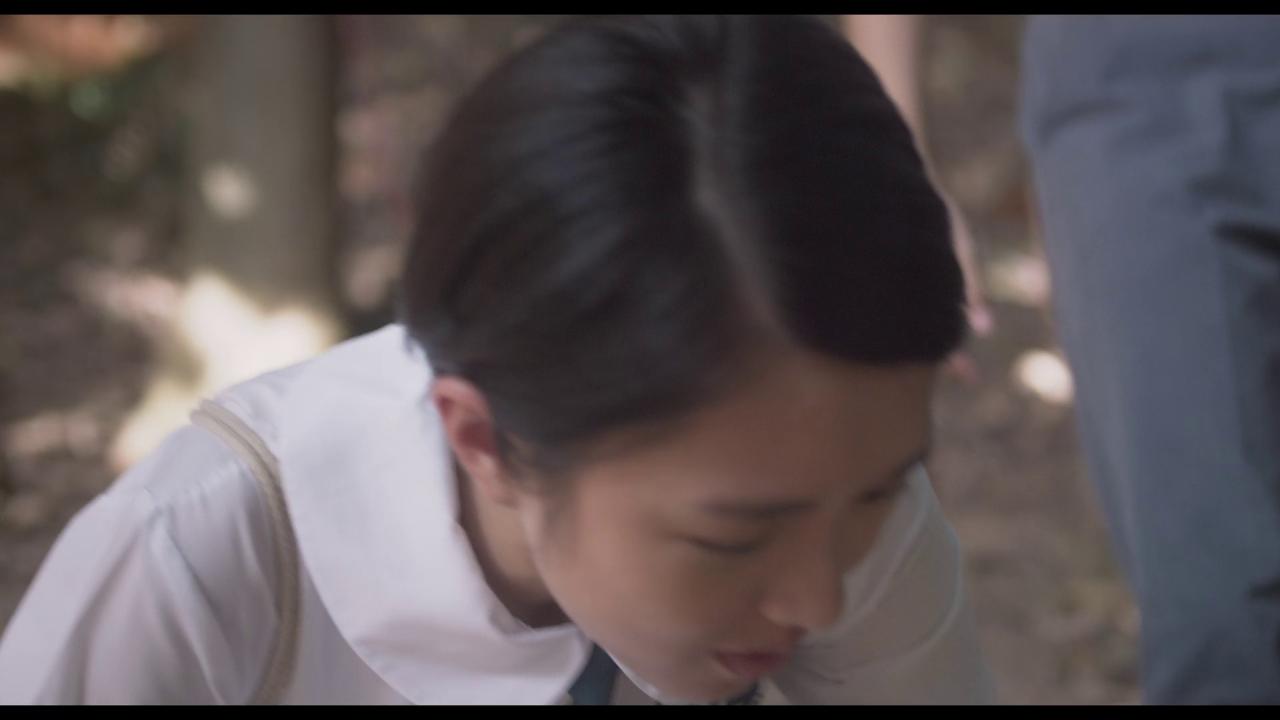 [哪一天我们会飞][WEB-MKV/4.74GB][国语音轨/简繁英字幕][1080P][HDR版本][流媒体]