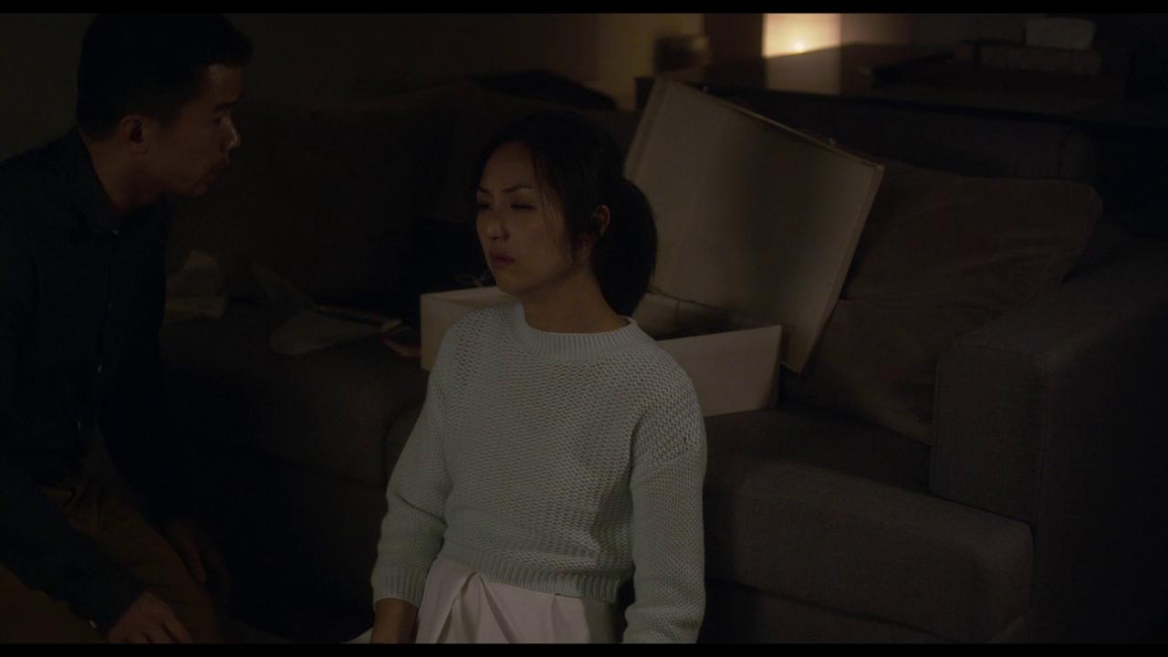 [哪一天我们会飞][WEB-MKV/4.74GB][国语音轨/简繁英字幕][1080P][HDR版本][流媒体]