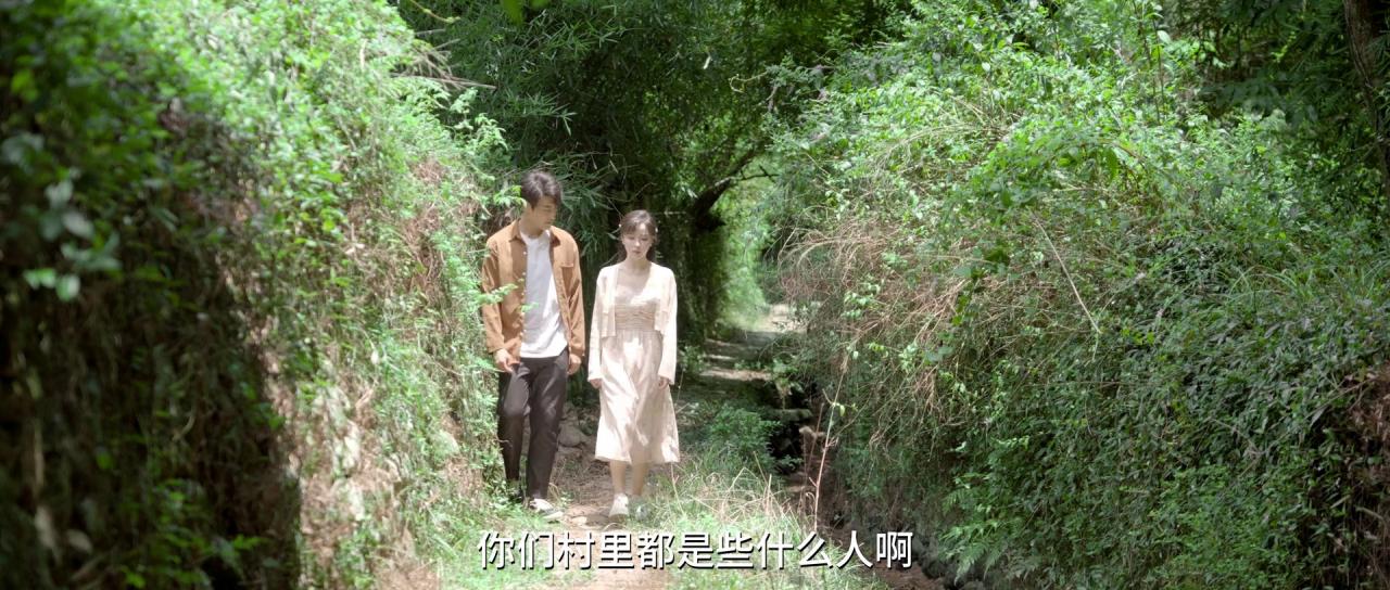 [村“靓”了][WEB-MKV/1.24GB][国语配音/中文字幕][1080P][HDR版本][流媒体]