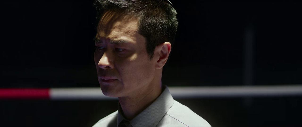 [棋拳风暴][WEB-MKV/1.30GB][国语配音/中文字幕][1080P][HDR版本][流媒体]