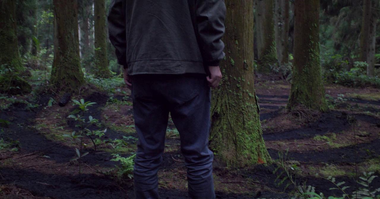 [象山发光事件][WEB-MKV/1.25GB][国语配音/中文字幕][1080P][HDR版本][流媒体]