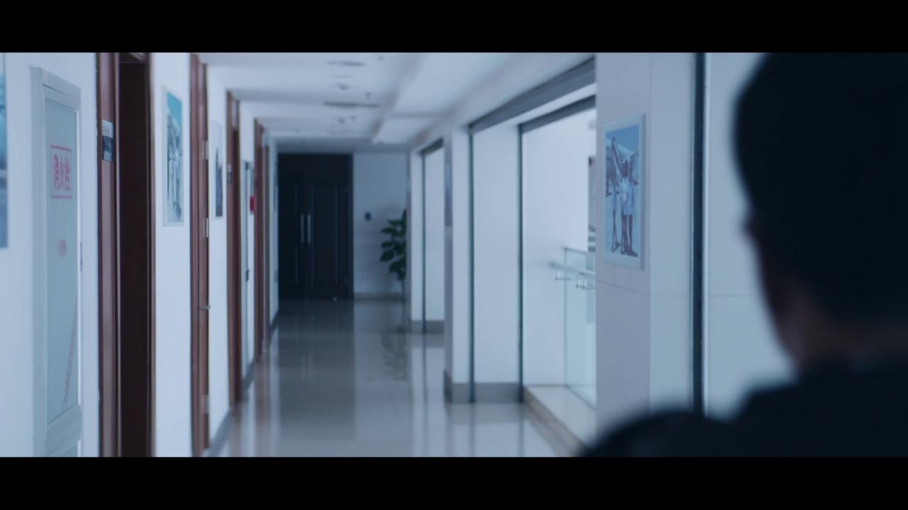 [猎狐·行动][WEB-MKV/4.15GB][国语配音/中文字幕][1080P][HDR版本][流媒体]