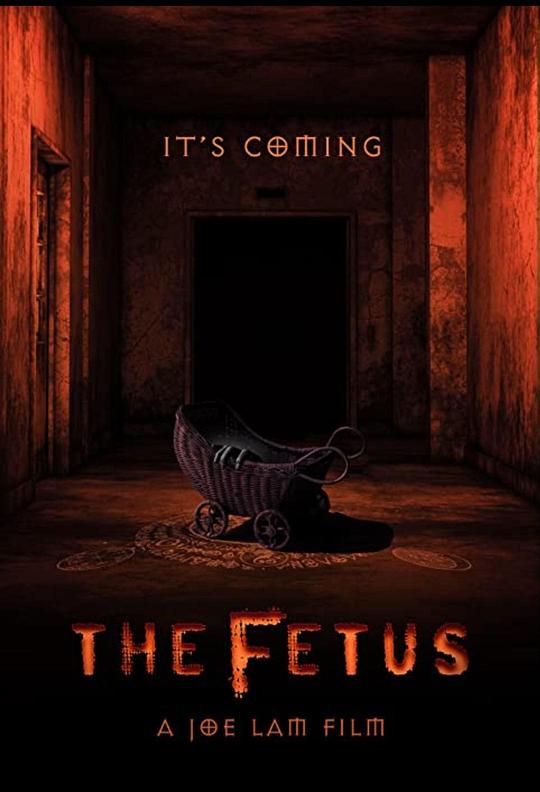 [胎儿][BD-MKV/5.92GB][中文字幕][1080P][HDR版本][H265编码][蓝光压制]