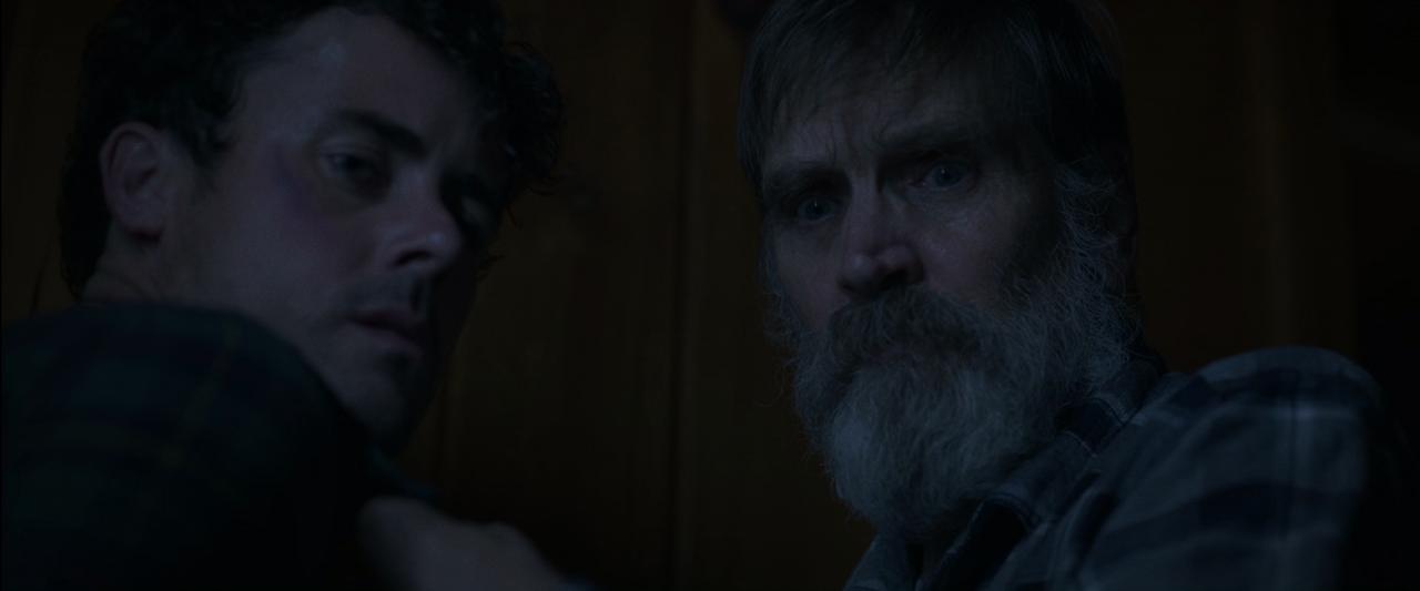 [胎儿][BD-MKV/5.92GB][中文字幕][1080P][HDR版本][H265编码][蓝光压制]