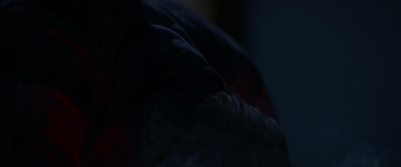 [胎儿][BD-MKV/5.92GB][中文字幕][1080P][HDR版本][H265编码][蓝光压制]