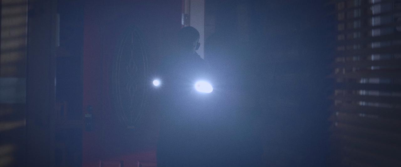 [胎儿][BD-MKV/5.92GB][中文字幕][1080P][HDR版本][H265编码][蓝光压制]