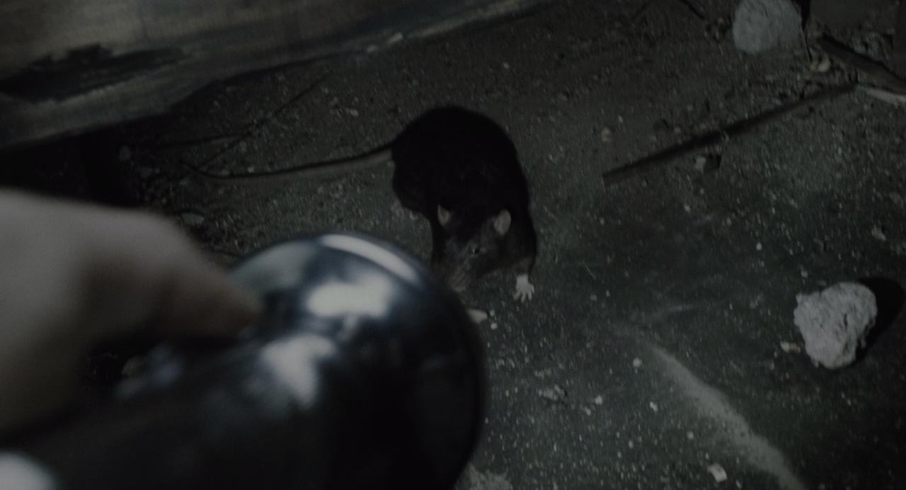 [爱情是狗娘][BD-MKV/24.27GB][中文字幕][4K-2160P][HDR+杜比视界双版本][H265编码][蓝光压制]