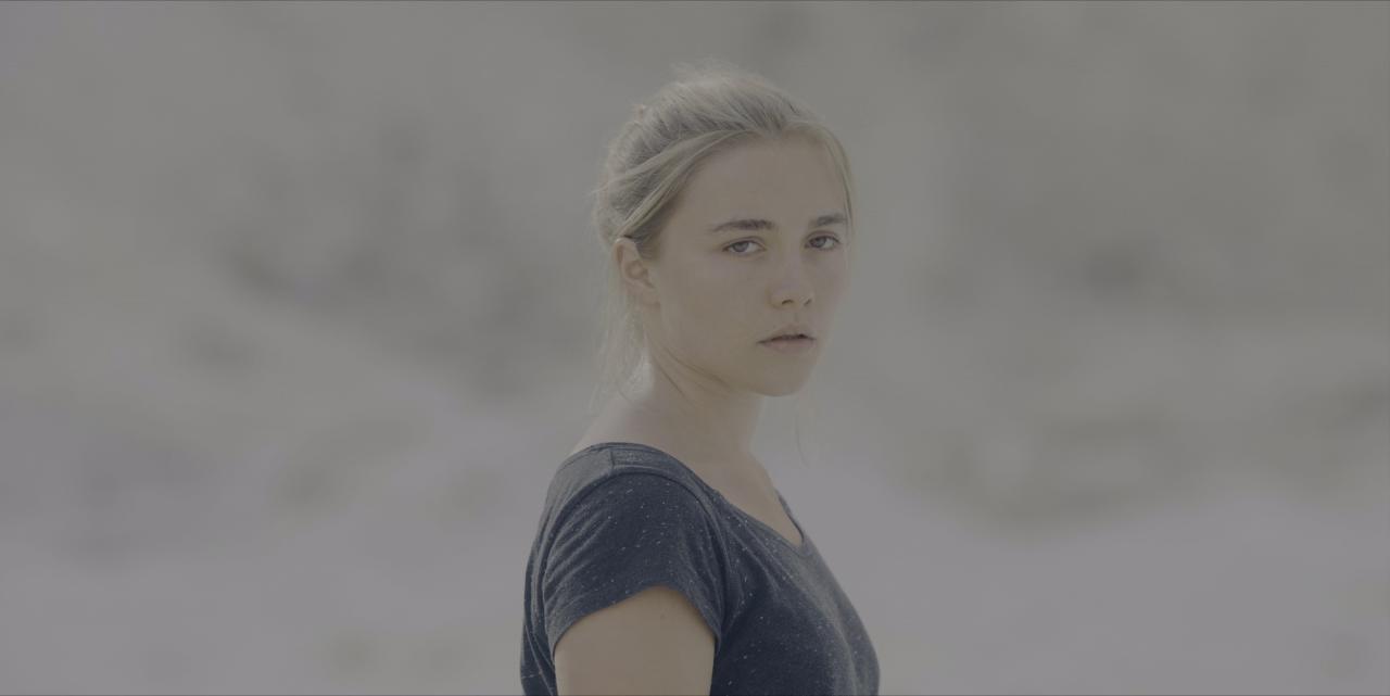 [仲夏夜惊魂][BD-MKV/22.93GB][简繁英字幕][4K-2160P][HDR版本][H265编码][蓝光压制]