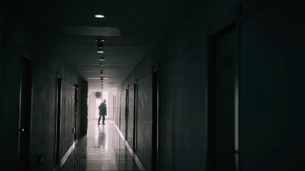 [向光花盛开][WEB-MP4/0.64GB][国语配音/中文字幕][1080P][HDR版本][流媒体]