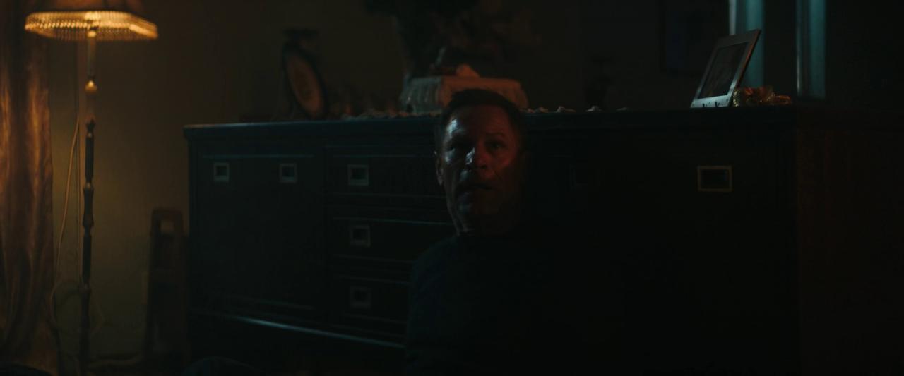 [神探忠犬2：狼之城][BD-MKV/11.76GB][简繁英字幕][1080P][HDR版本][蓝光压制]