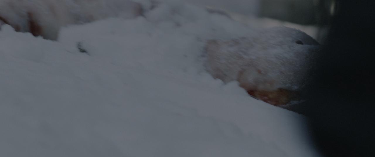 [猎凶风河谷][BD-MKV/18.63GB][中文字幕][4K-2160P][HDR+杜比视界双版本][H265编码][蓝光压制]