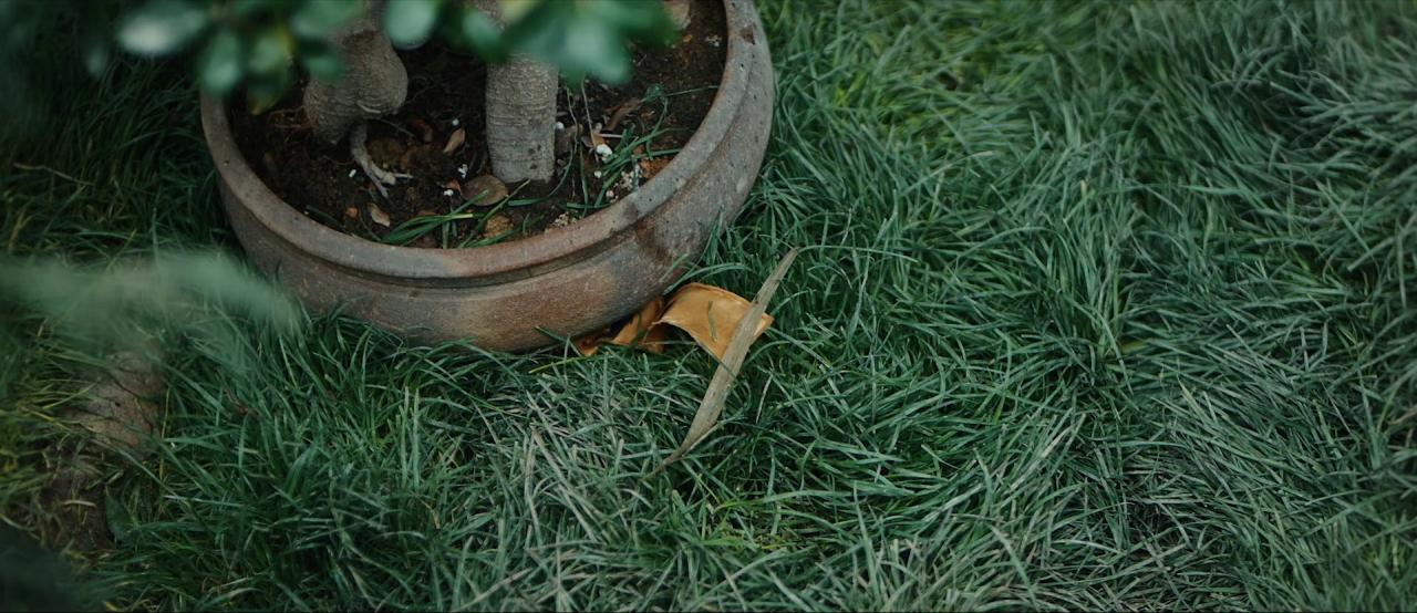 [狄仁杰之彼岸奇花][WEB-MKV/1.08GB][无字片源][1080P][HDR版本][流媒体]