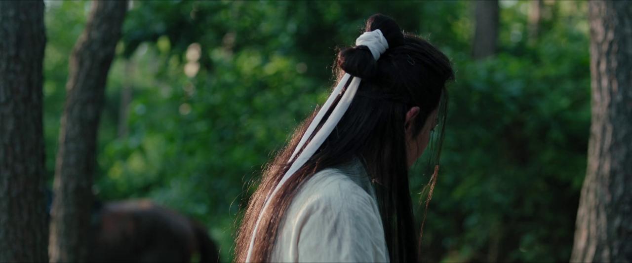 [九龙挎刀去白马][WEB-MKV/0.97GB][无字片源][1080P][HDR版本][流媒体]