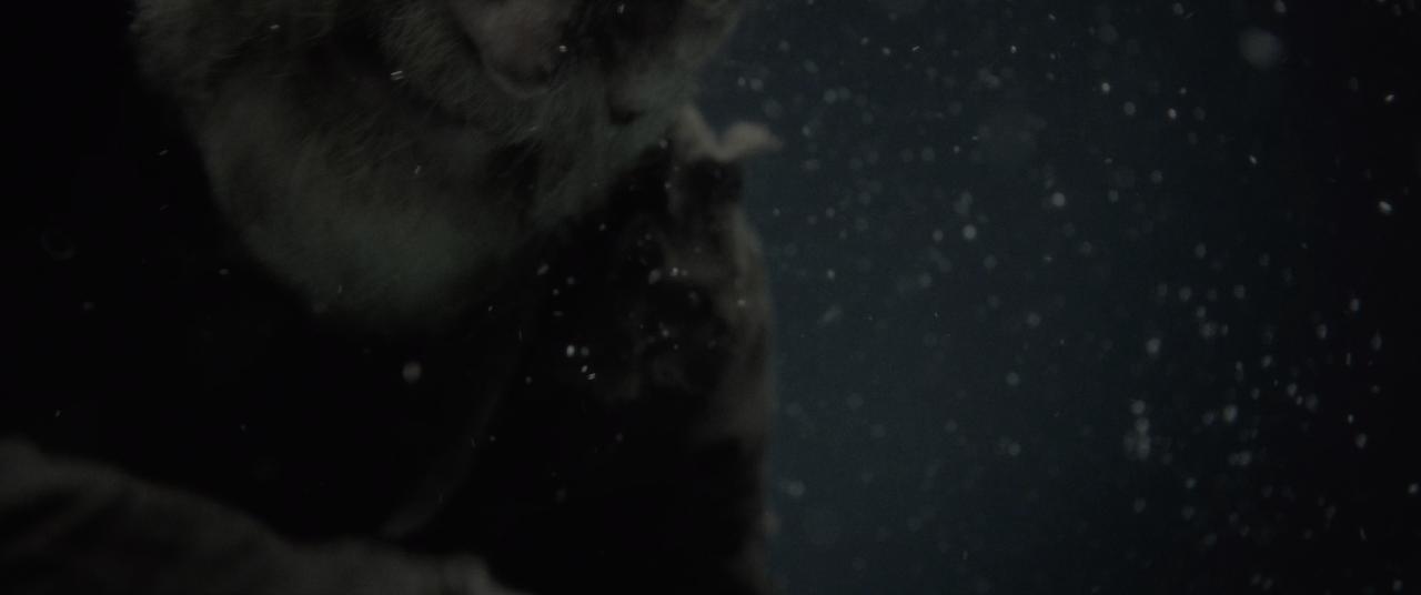 [永生战士2][WEB-MKV/15.79GB][简繁英字幕][4K-2160P][HDR版本][H265编码][流媒体]