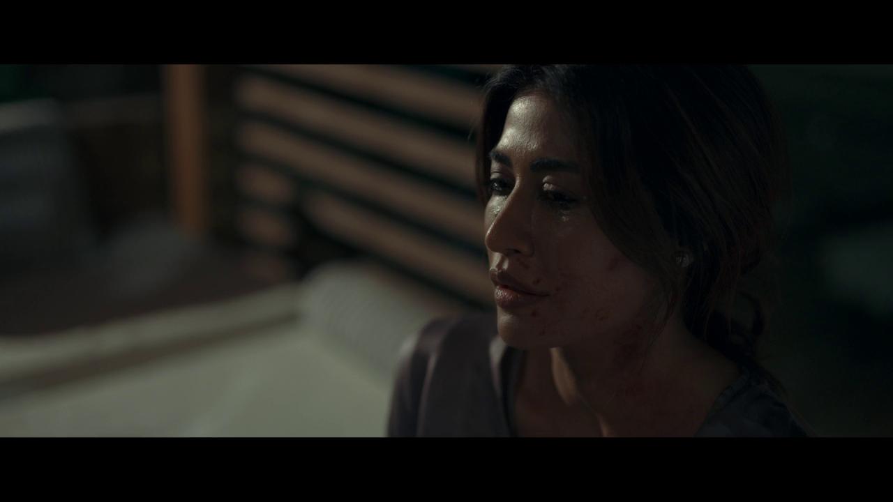 [孤夜：豪门血案][WEB-MKV/5.95GB][中文字幕][1080P][HDR版本][流媒体]