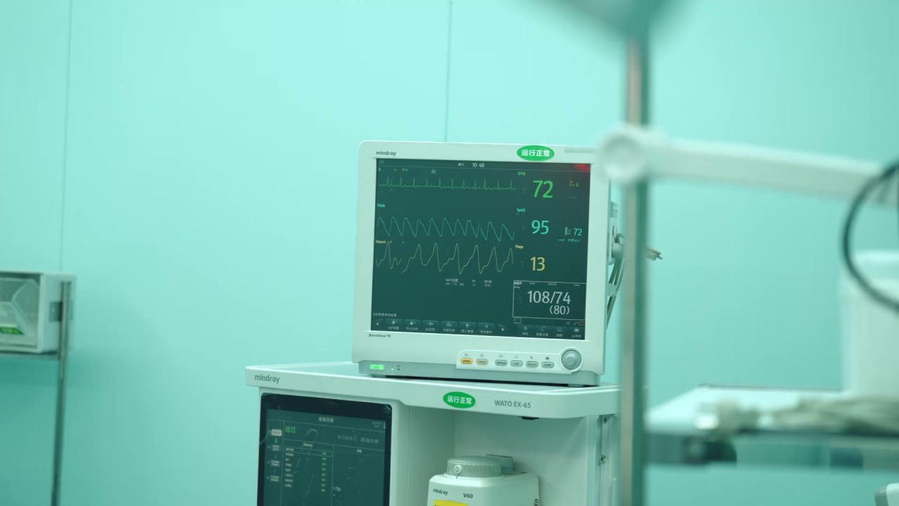 [特殊检测][WEB-MKV/1.41GB][国语配音/中文字幕][1080P][HDR版本][流媒体]