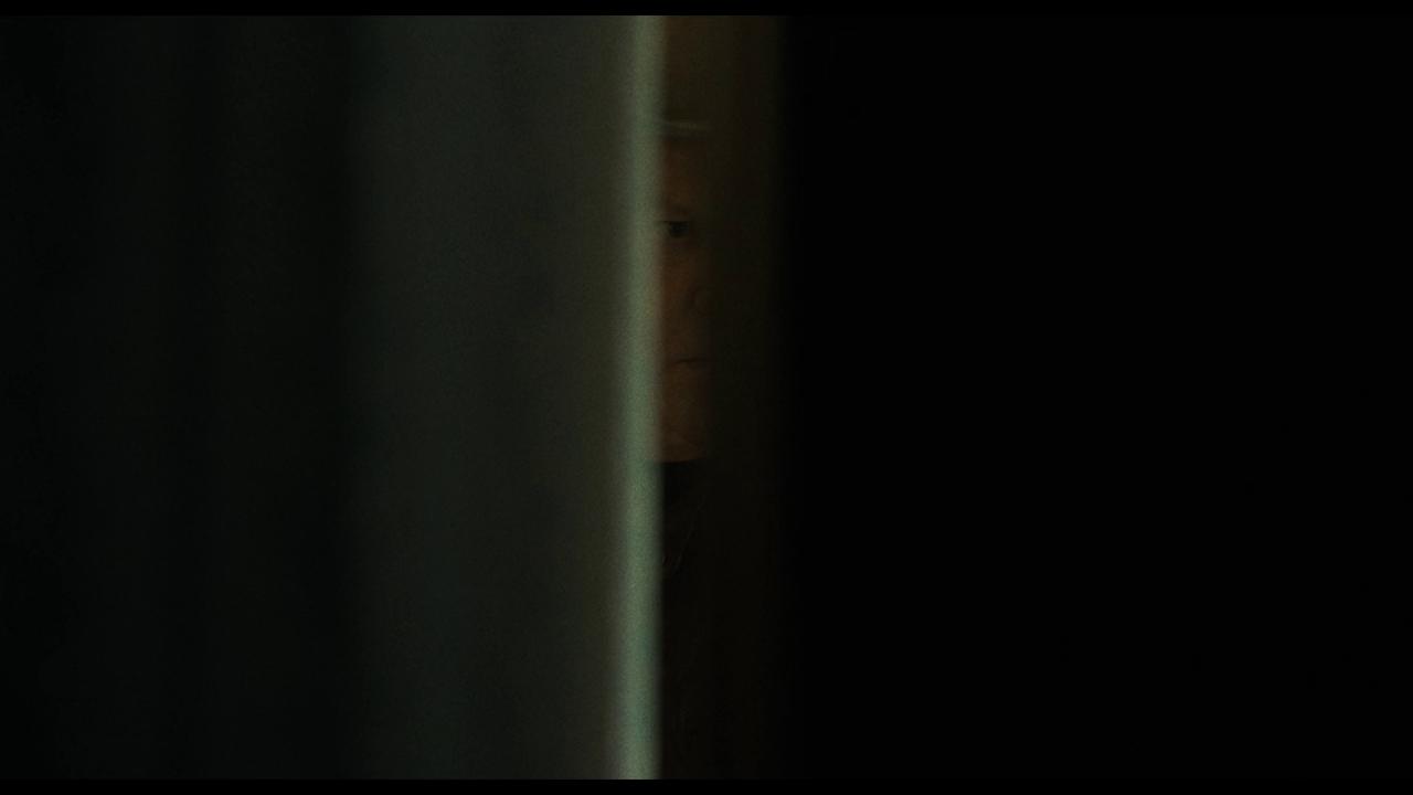 [冷血狐狸][WEB-MKV/4.88GB][无字片源][1080P][HDR版本][流媒体]