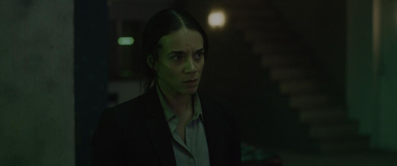 [铜斑蛇][BD-MKV/16.37GB][中文字幕][4K-2160P][HDR版本][H265编码][蓝光压制]