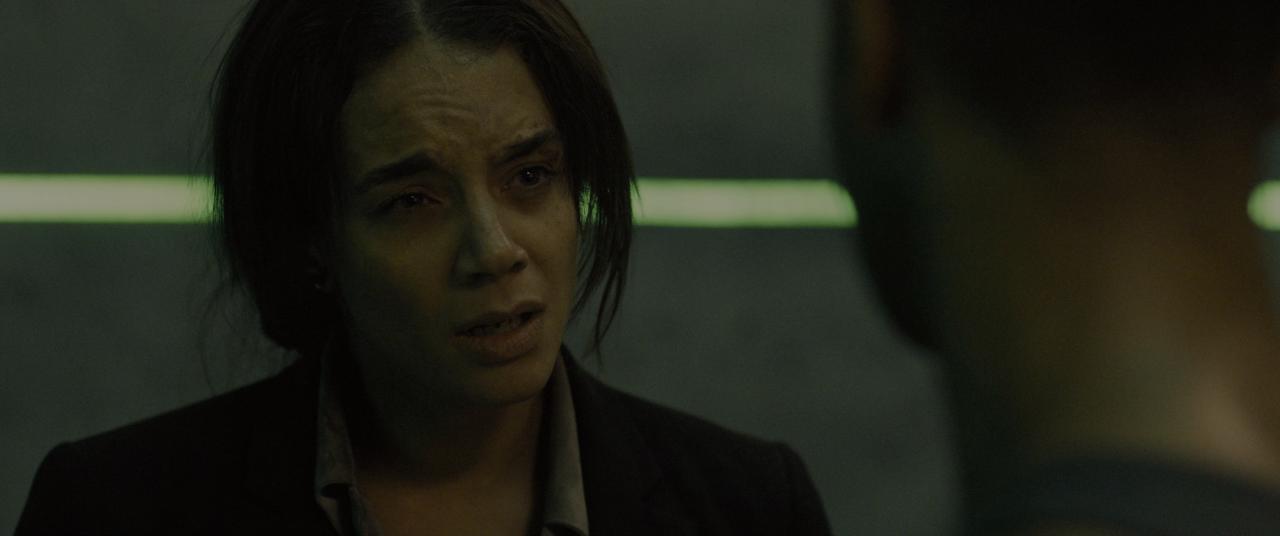 [铜斑蛇][BD-MKV/16.37GB][中文字幕][4K-2160P][HDR版本][H265编码][蓝光压制]