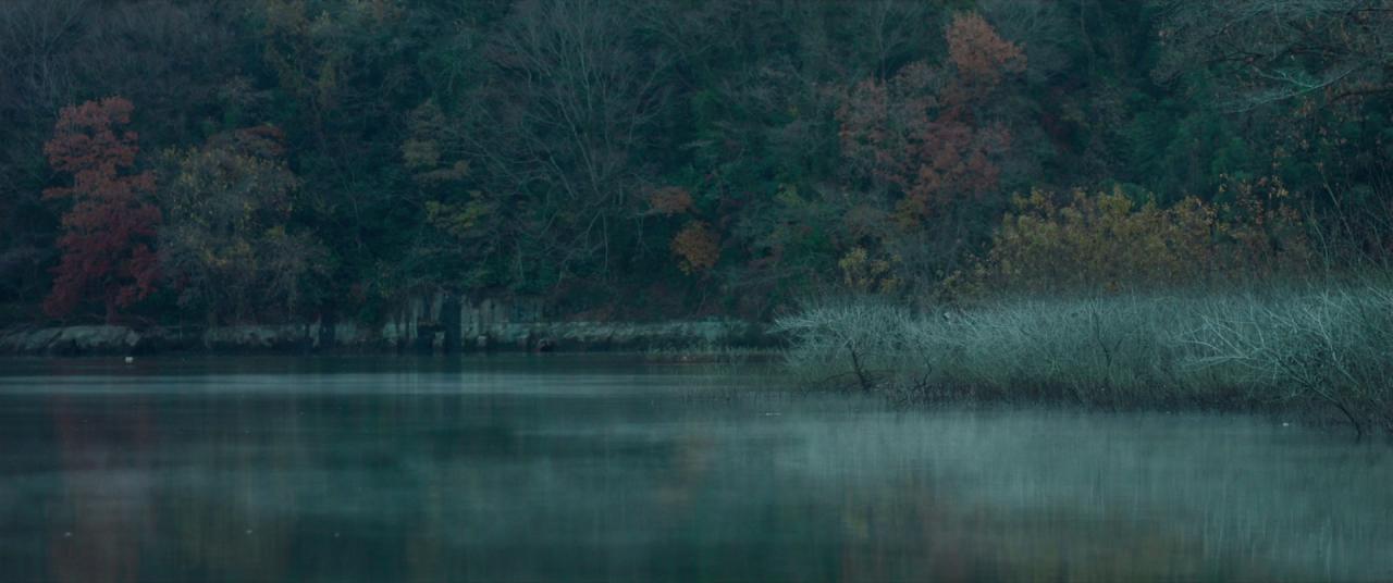 [月影][BD-MKV/5.48GB][中文字幕][1080P][HDR版本][H265编码][蓝光压制]