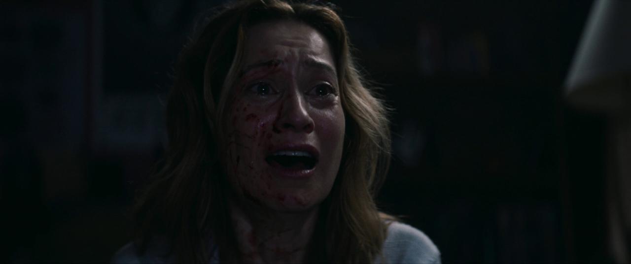 [寻踪迷镇][BD-MKV/11.06GB][简繁英字幕][1080P][HDR版本][蓝光压制]