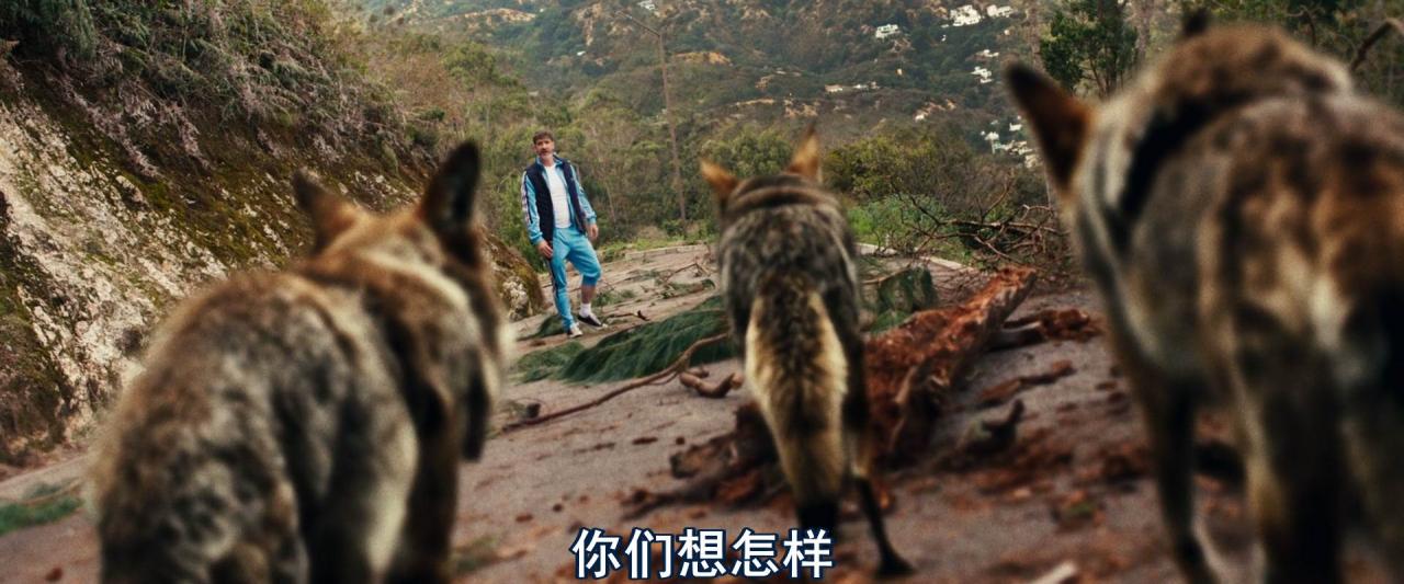 [狼来了][WEB-MKV/2G][英语中字][1080p][2025最新]