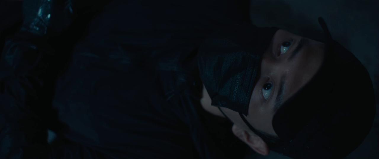 [私家侦探][BD-MKV/10.20GB][国粤多音轨/中文字幕][1080P][HDR版本][蓝光压制]