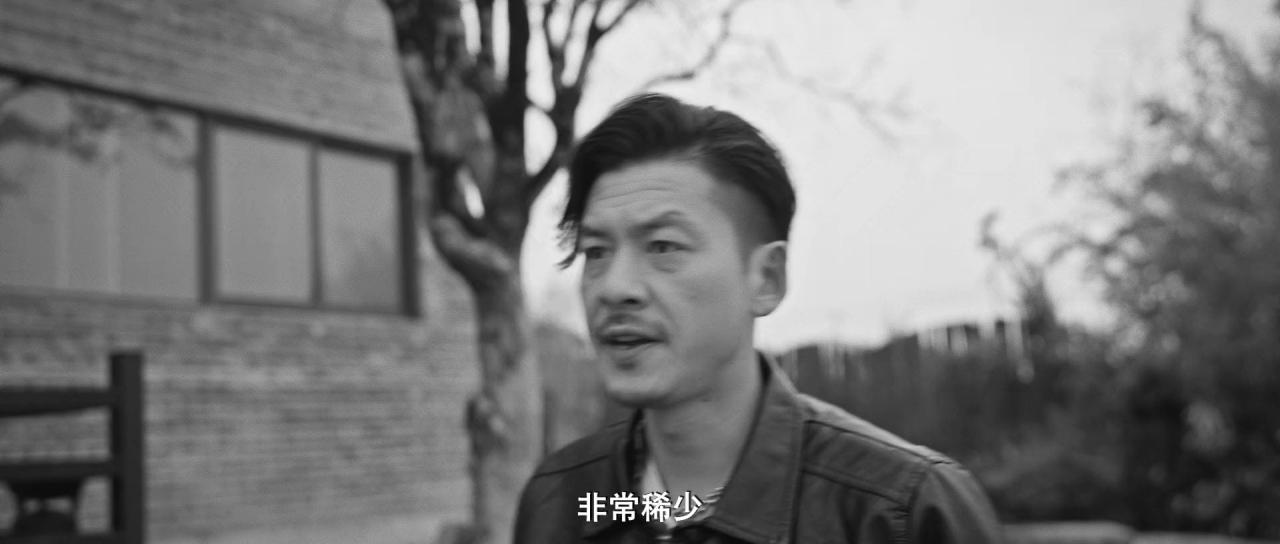 [双雄出击][WEB-MKV/1.56GB][国语配音/中文字幕][1080P][HDR版本][流媒体]