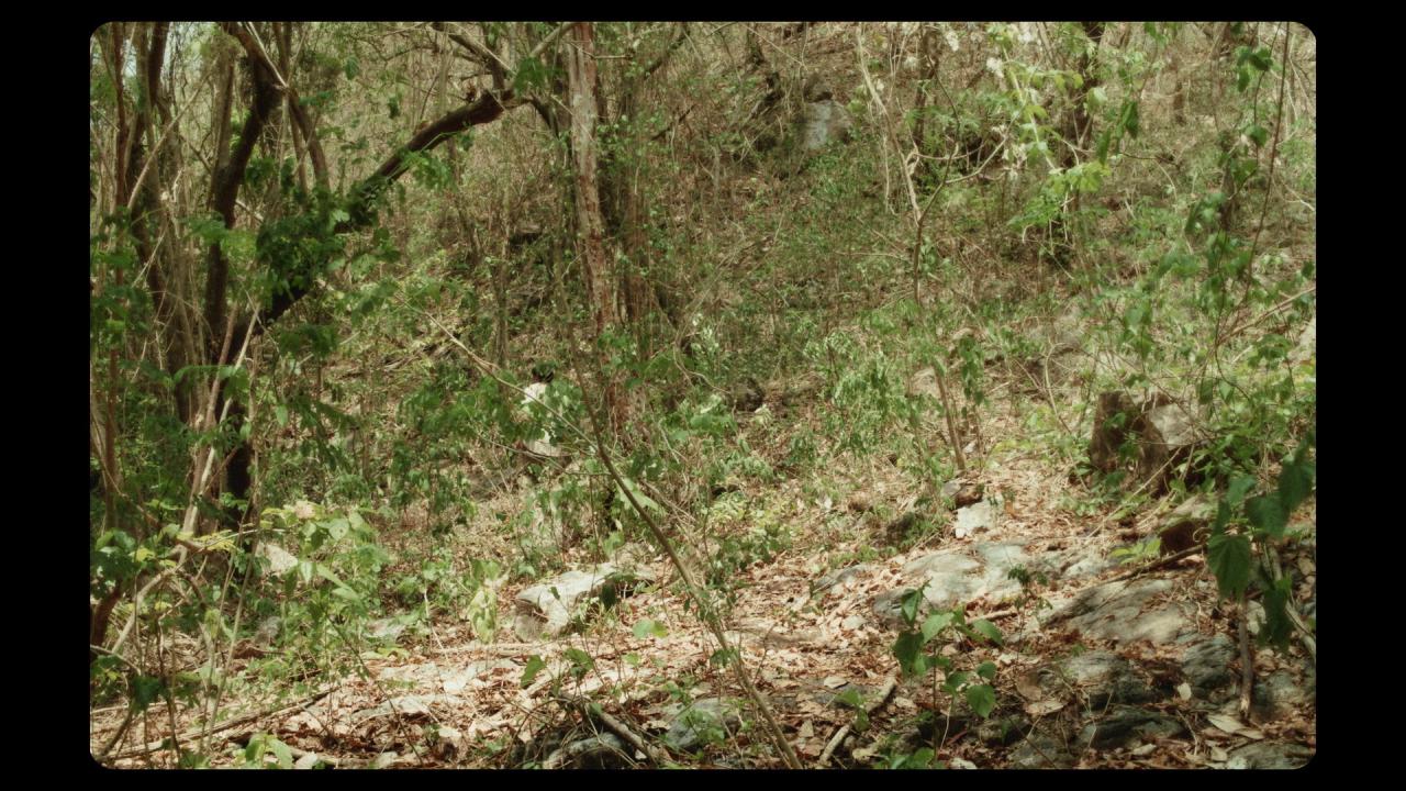 [尤里卡][BD-MKV/32.64GB][简繁英字幕][1080P][HDR版本][蓝光压制]