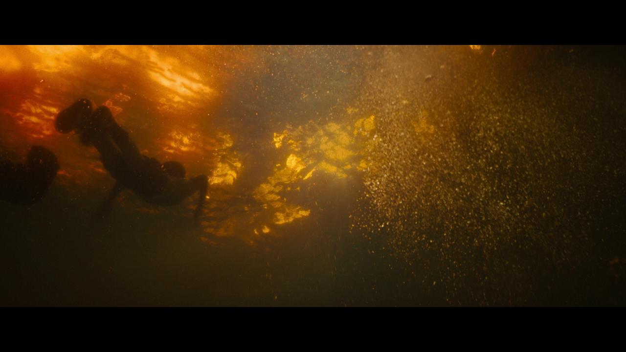 [速度与激情10][BD-MKV/32.80GB][国英多音轨/中英字幕][1080P][HDR版本][蓝光压制]