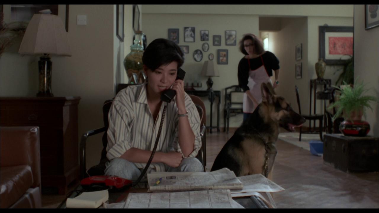 [一屋两妻][BD-MKV/17.55GB][国语音轨/简繁英字幕][1080P][HDR版本][蓝光压制]