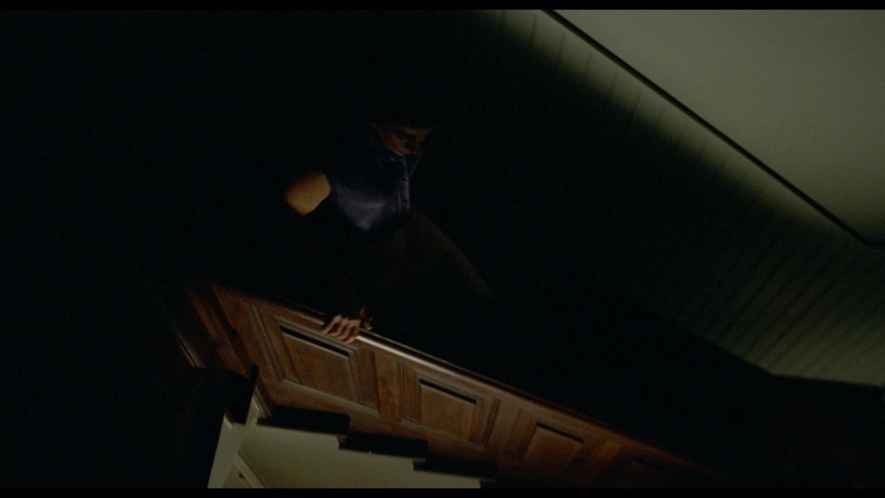 [我仍在此][BD-MKV/36.43GB][中文字幕][1080P][HDR版本][蓝光压制]